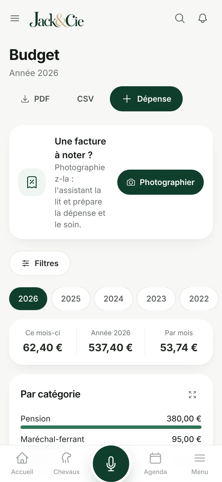 Budget annuel par catégorie