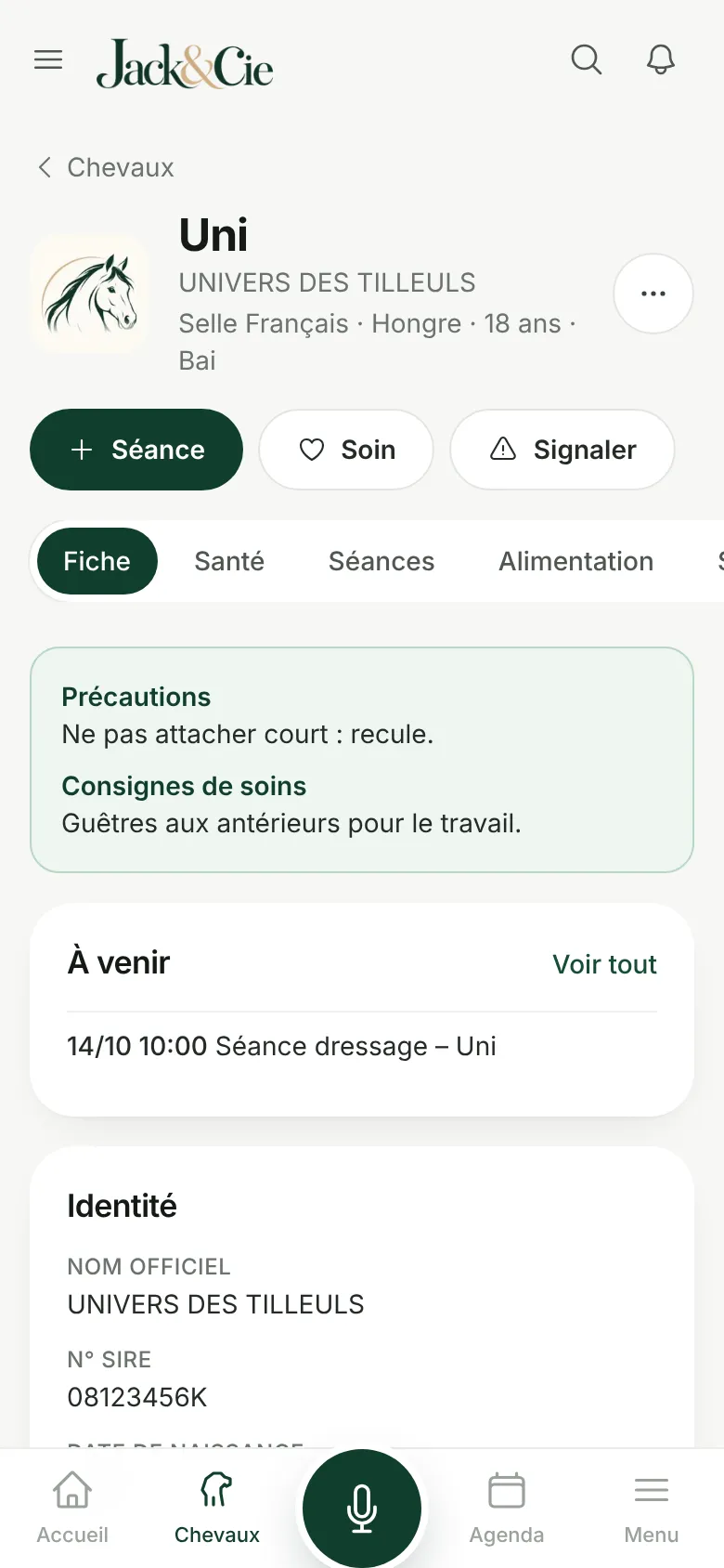 Fiche d'un cheval dans Jack&Cie : identité, précautions et prochains rendez-vous
